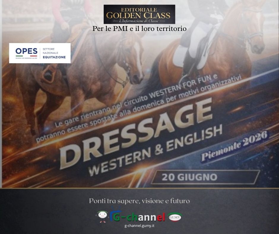 Western & English Dressage 